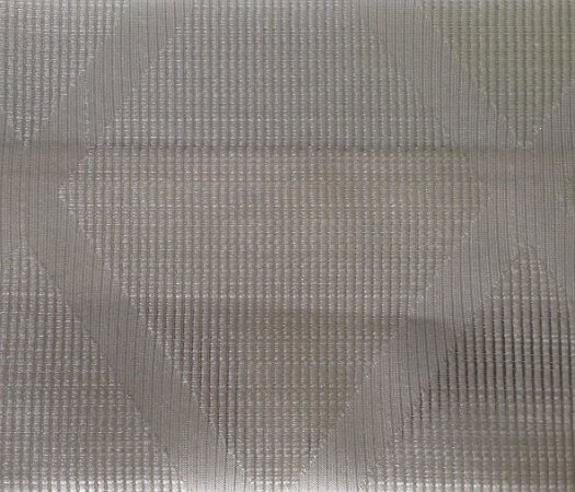 HT0067 var.4